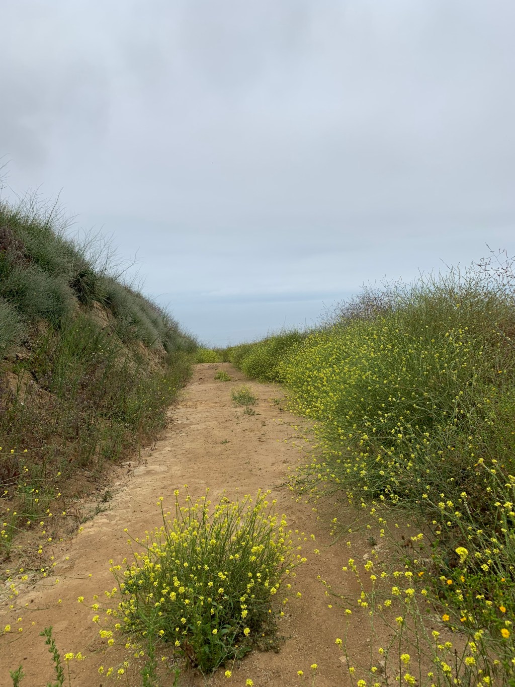 Protected: Post 2. Road to Diagnosis (Jan 2023 – Feb&nbsp;2024)