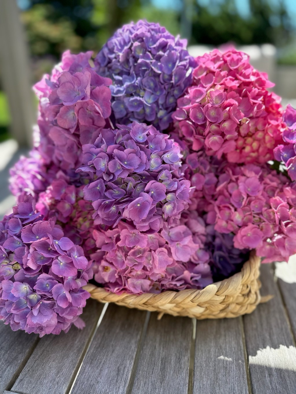 Protected: Post 11. The Lingering&nbsp;Why